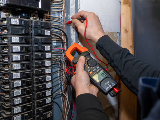 Best Home Electrical Repair  in Neshanic Station, NJ